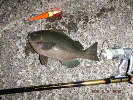 �C�}�C�`�ȃT�C�Y�̃��W�i