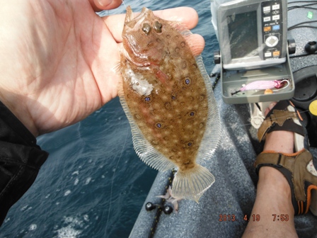 �v�X�̃^�}�K���]�E�N