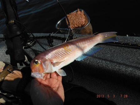 �P���ڂ̓A�}�_�C