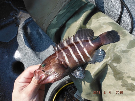 �}�n�^�̗c��