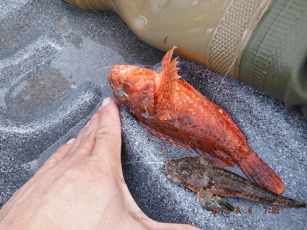 �I�j�J�T�S���}�S�`�H