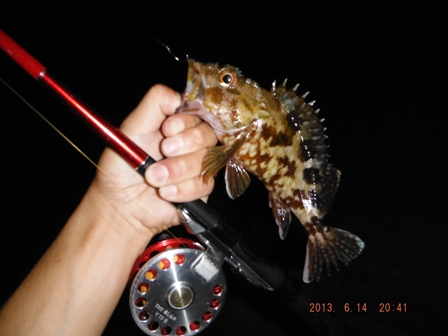 �����Ȃ����H��