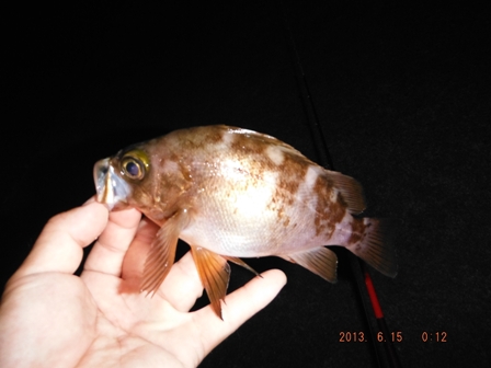 ���o�����^���o�Ȃ�