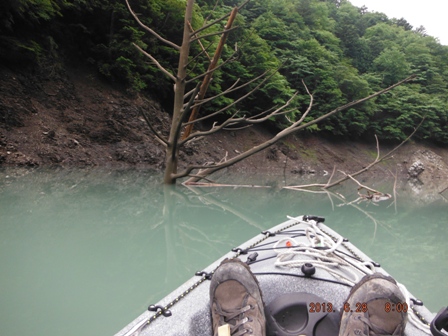 ���ʂ���˂��o������