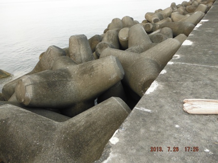 ���₩�Ȋ�