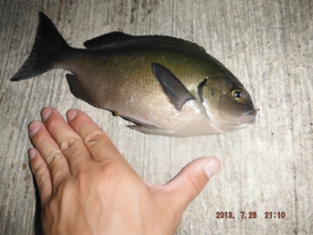 �B�e�ナ���[�X