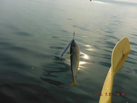 �I�i�Q�R�b���j