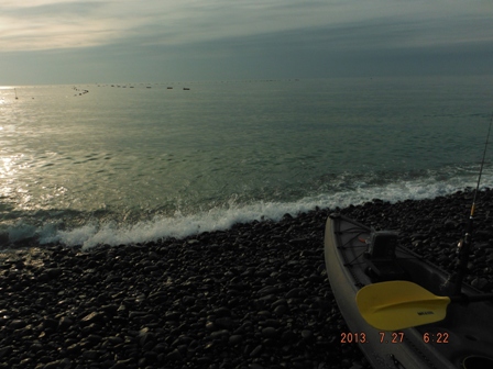 �ē����̕l��