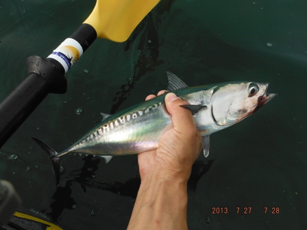 ���N�����f�d�s