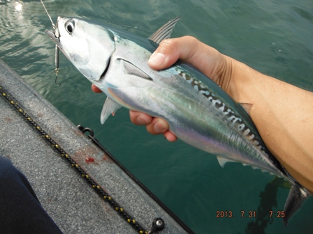 �}���\�[�_