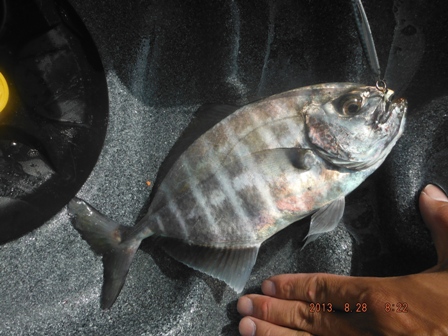 ���I���I�L�A�W