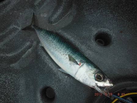 �{����{��