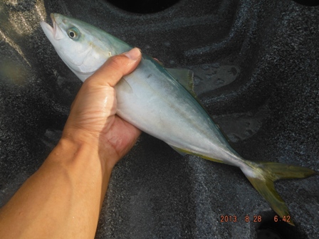 �����[�X�Ώێ�