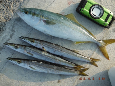 �Z���Ԓލs�Ƃ��Ă͖���