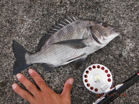 ���������͗D��