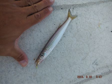 �����^���o��