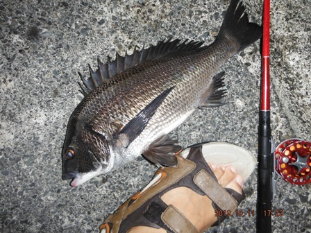 �{���f�d�s