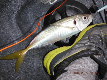 �ڈ��f�d�s