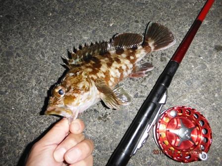 �{�����͂X�O���ȏ�