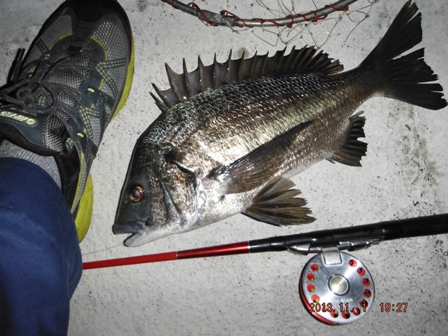 �_���Ă����O��