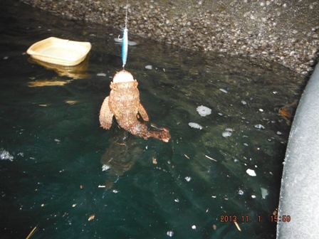 �I�j�J�T�S�f�d�s