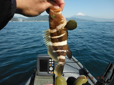 �}�n�^�E�E�H