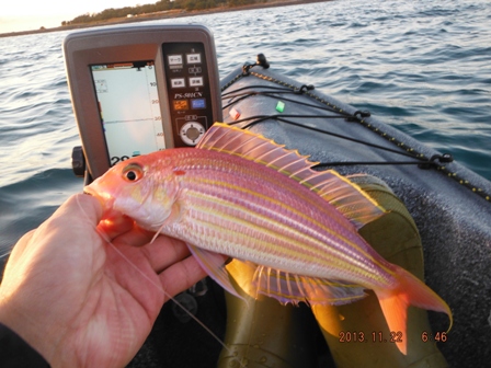 �{���f�d�s�E�E