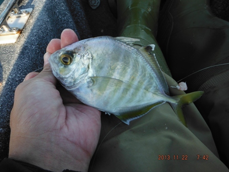 �������Ȃ�