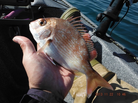 ��͂菬����