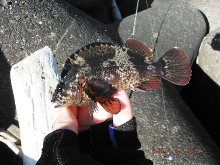 �����ς�̌���