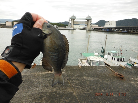 ����̊O��