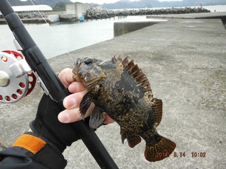 �{���f�d�s