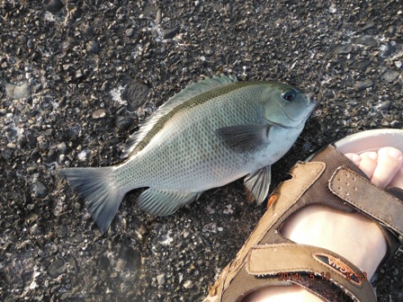 �{���͓����Ȃ��������E�E�B