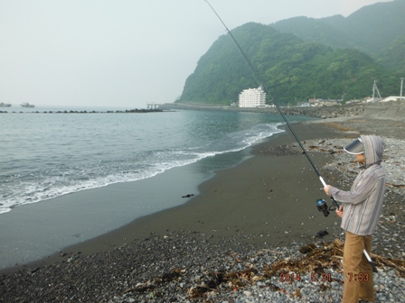 �󋵂͗ǂ�������