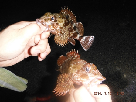 �����͂܂��ǂ�