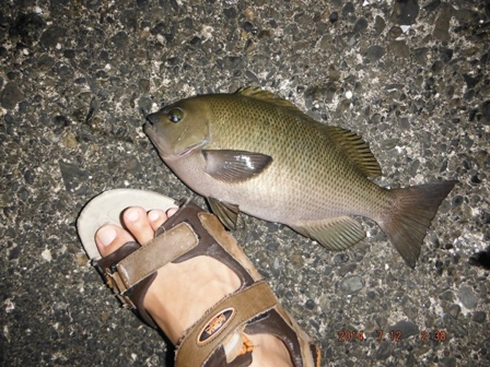 �����[�X�ς�