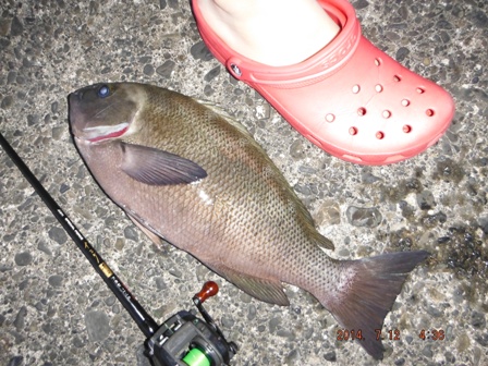 �y�Y�ɂȂ���