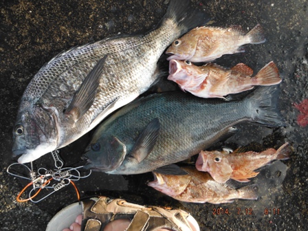 ���X������Ȃ�