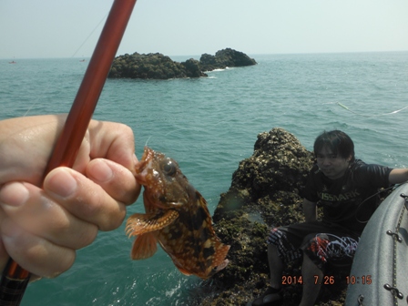 �J�T�S�͔Z���悤���B