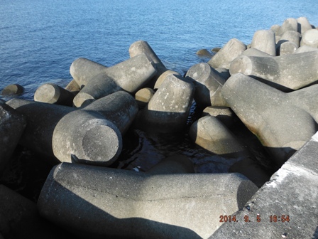 �v���Ԃ�̒�h