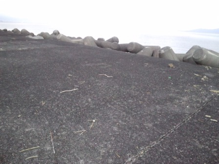 �H���[�܂��Ă����ނ��