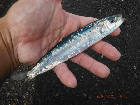 �O������^���ǂ�