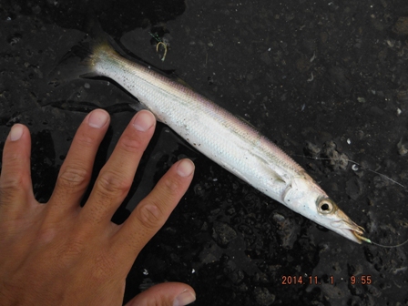 �����L�[�v�f�d�s