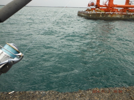 �ړ���͌�������