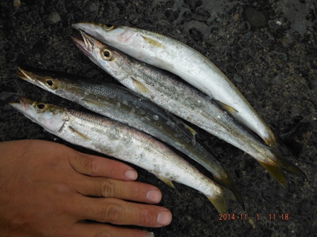 �Ƃ肠�����͓y�Y�𓾂�ꂽ