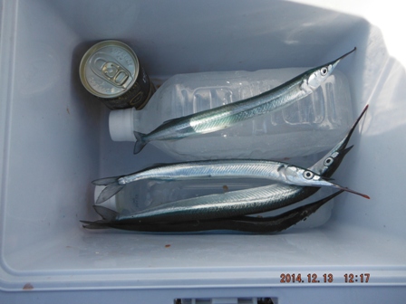 �s���̎c��މ�