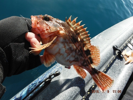 �����ɂ͎��炸