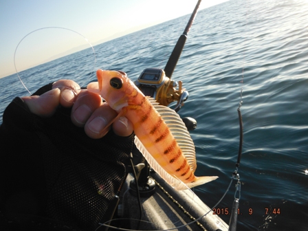 �O���͂���Ȃ�̊�������