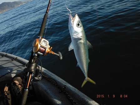 �L�[�v�ɂ͎��炸