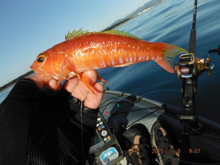 ��̏����ė�